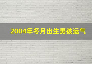 2004年冬月出生男孩运气