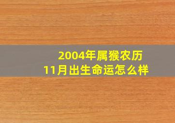 2004年属猴农历11月出生命运怎么样