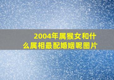 2004年属猴女和什么属相最配婚姻呢图片