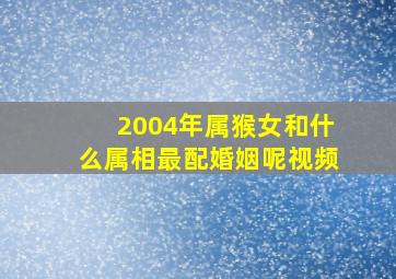 2004年属猴女和什么属相最配婚姻呢视频