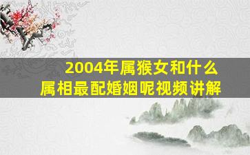 2004年属猴女和什么属相最配婚姻呢视频讲解