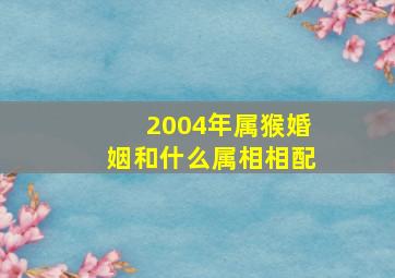 2004年属猴婚姻和什么属相相配