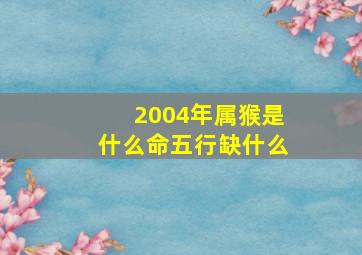 2004年属猴是什么命五行缺什么