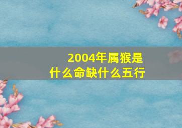 2004年属猴是什么命缺什么五行