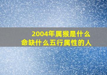 2004年属猴是什么命缺什么五行属性的人