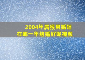 2004年属猴男婚姻在哪一年结婚好呢视频