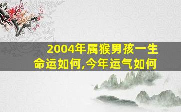 2004年属猴男孩一生命运如何,今年运气如何