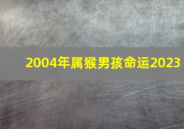 2004年属猴男孩命运2023