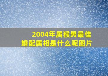 2004年属猴男最佳婚配属相是什么呢图片