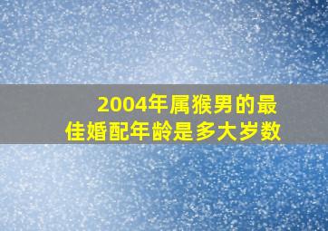 2004年属猴男的最佳婚配年龄是多大岁数