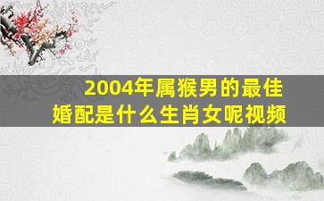 2004年属猴男的最佳婚配是什么生肖女呢视频