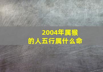 2004年属猴的人五行属什么命