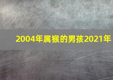 2004年属猴的男孩2021年