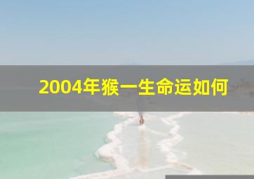 2004年猴一生命运如何