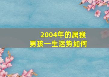 2004年的属猴男孩一生运势如何