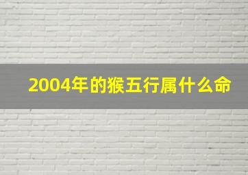 2004年的猴五行属什么命