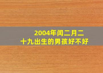 2004年闰二月二十九出生的男孩好不好