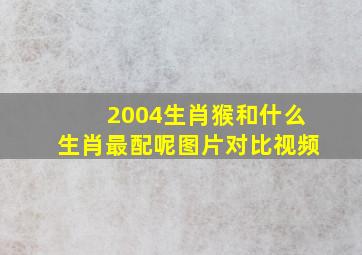 2004生肖猴和什么生肖最配呢图片对比视频