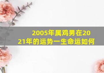 2005年属鸡男在2021年的运势一生命运如何