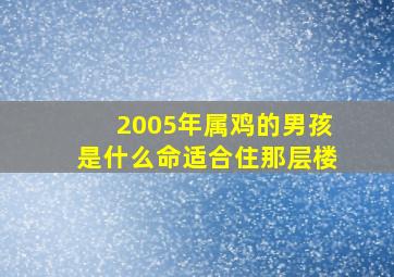 2005年属鸡的男孩是什么命适合住那层楼