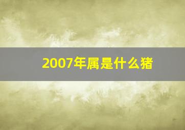 2007年属是什么猪