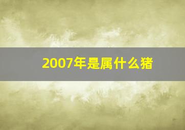 2007年是属什么猪