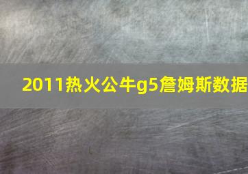 2011热火公牛g5詹姆斯数据