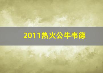 2011热火公牛韦德