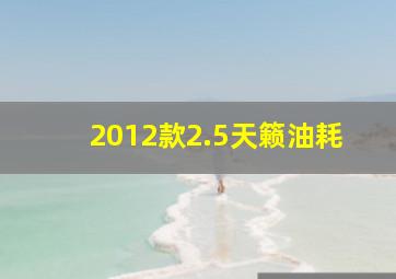 2012款2.5天籁油耗