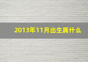 2013年11月出生属什么