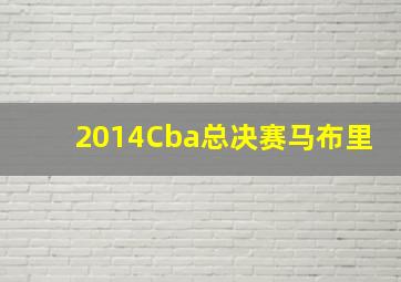 2014Cba总决赛马布里