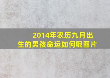 2014年农历九月出生的男孩命运如何呢图片