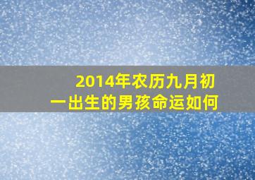 2014年农历九月初一出生的男孩命运如何