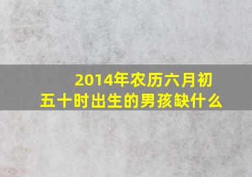 2014年农历六月初五十时出生的男孩缺什么