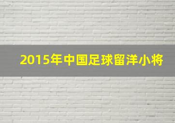 2015年中国足球留洋小将