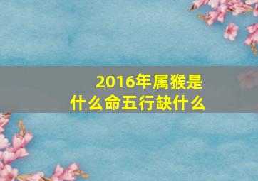 2016年属猴是什么命五行缺什么