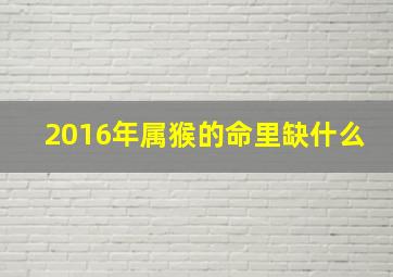 2016年属猴的命里缺什么