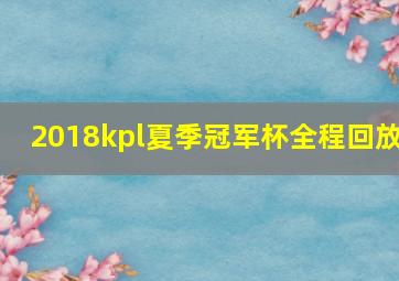 2018kpl夏季冠军杯全程回放