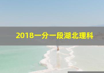 2018一分一段湖北理科