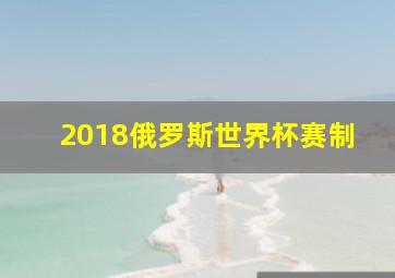 2018俄罗斯世界杯赛制