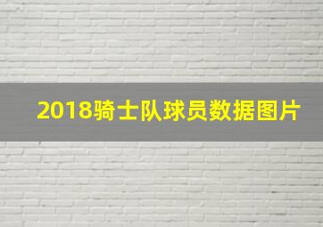 2018骑士队球员数据图片