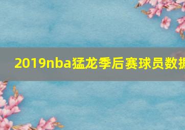 2019nba猛龙季后赛球员数据