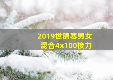 2019世锦赛男女混合4x100接力