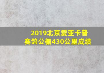 2019北京爱亚卡普赛鸽公棚430公里成绩