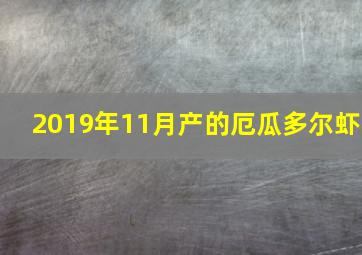 2019年11月产的厄瓜多尔虾