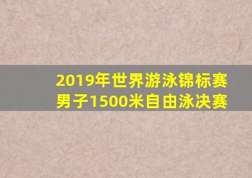 2019年世界游泳锦标赛男子1500米自由泳决赛