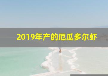 2019年产的厄瓜多尔虾