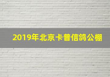 2019年北京卡普信鸽公棚