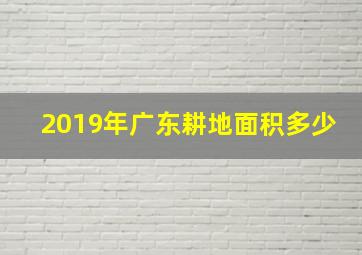 2019年广东耕地面积多少