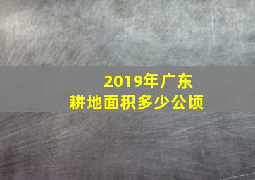 2019年广东耕地面积多少公顷